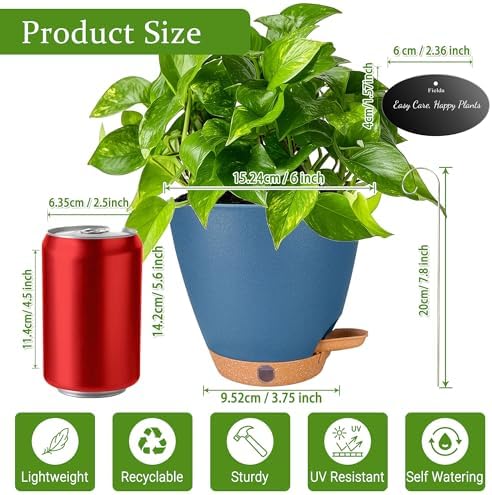 6 Inch Small Self Watering Pots for Indoor Plants, 5-Pack - Image 3
