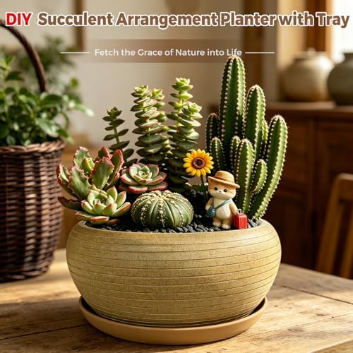 MUZHI 9.5” Round Large Ceramic Bonsai Bowl Planter，Clay Succulent Plant Pot Container with Saucer (9.5”) - Image 6