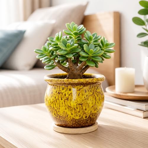 Plant Pots, 4.5 Inch Plant Pots for Indoor, Small Ceramic Planter with Tray - Image 5