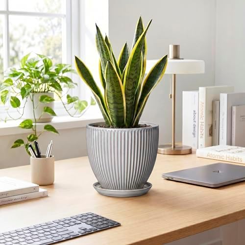 Ceramic Planters for Plants, 8 Inch Flower Pot with Drainage Hole and Saucer, Round Plant Pots for Indoor Plants, Modern Decorative Planter, Home Garden Decor, Gifts for Plant Lovers, Grey - Image 3