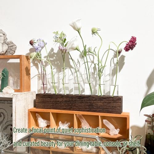 KAXYEW Desktop Glass Plant Propagation Station Test Tube Plant Terrarium in Wooden Stand for Hydroponic Plants Cutting Office Home Decoration - Image 4