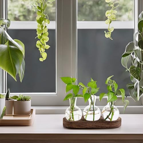 Mkono Plant Propagation Station, Desktop Glass 3 Bulb Vase Brown Wood Tray - Image 6