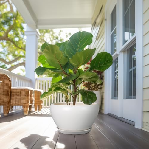 Ceramicfor Planter for Indoor Plants 13 Inch - Ceramic Plant Pot with Drainage Hole and Saucer Decorative Round Large Planter Pot for Plants Outdoor Flower Pot for Room Decor White - Image 7