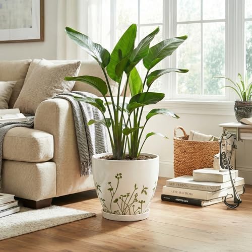 MPotTo Ceramic Pot for Plants 10 Inch, Grasses White - Image 4