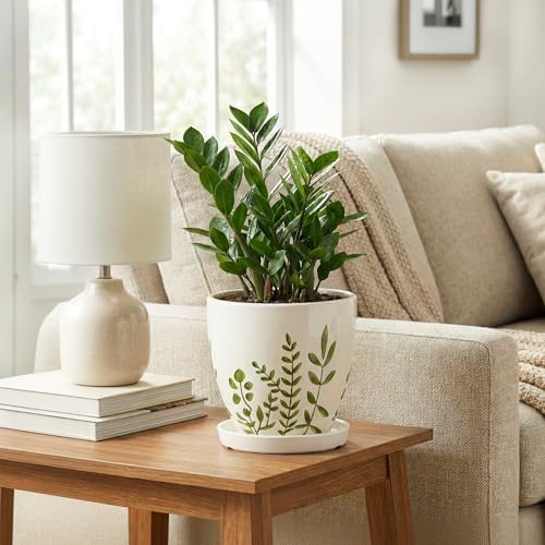 MPotTo Ceramic Pots for Plants - 6 Inch Plant Pot for Indoor Outdoor Plants, Ceramic Planter with Drainage Hole and Saucer, Decorative Round Planter, Gifts for Plant Lovers, Home Room Decor, White - Image 3