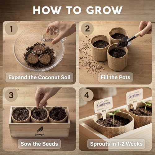 AVERGO Sunflower Seeds Growing Kit - Image 2