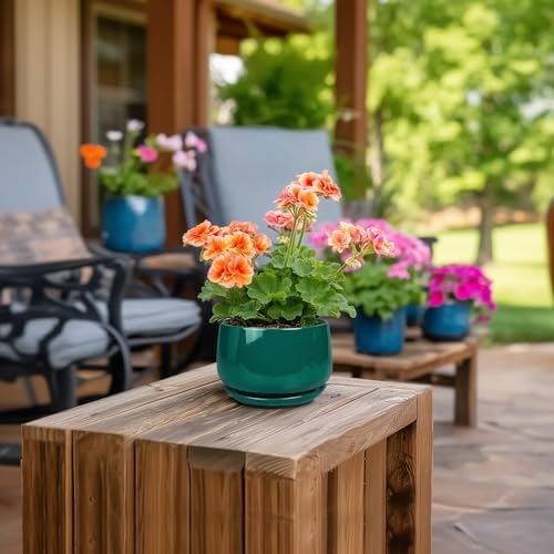 G EPGardening 4 inch Plant Pots - Small Ceramic Planter with Drainage Hole & Tray, Succulent Pots Indoor Outdoor, Round Modern Planter, Decorative Flower Pot, Desk Decor, Gifts for Plant Lover, Green - Image 4