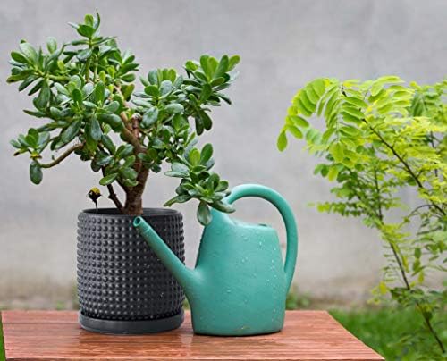 D'vine Dev Beaded Ceramic Pot with Saucer, 6 in, Ebony Matte, 27-C-X-6 - Image 2