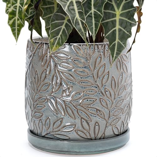 D'vine Dev Embossed Leaves Ceramic Planter, 10 in, Graphite Blue, 27-A-P-9 by DvineDevPlanterPotsandStand