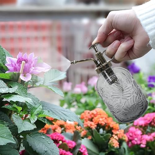 Glass Plant Mister Spray Bottle, 350ML Vintage Plant Spritzer, Succulent Watering Bottle Glass with Top Pump, Small Plants Sprayer Watering Can for Indoor (Gray) - Image 2
