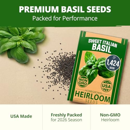 HOME GROWN Italian Large Leaf Basil Seeds, 1,424 Seeds, Ocimum basilicum - Image 7