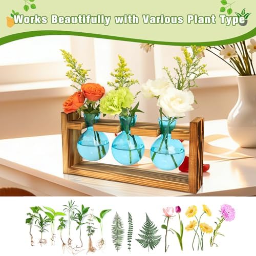 XXXFLOWER Plant Terrarium Jar Propagation Station Stand 3 Blue Bulb Vases - Image 5