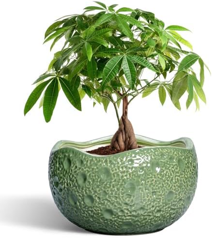 Ceramic Pots for Plants, 10 Inch Plant Pot for Indoor, Green by Thirtypot