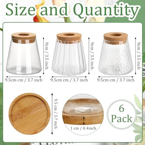 6 Pcs Glass Plant Propagation Station with Wood Lid & Stand, Cute Style - Image 2