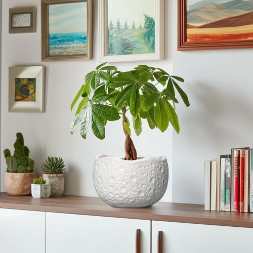 Ceramic Plant Pot, 8 Inch Round Planter with Drainage, White - Image 6