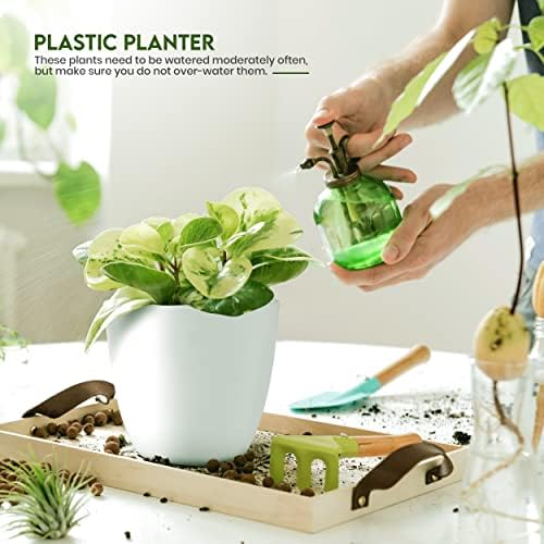 Plant Pots Indoor with Drainage, 5 Pack Multi-Size Planters Set, White - Image 6