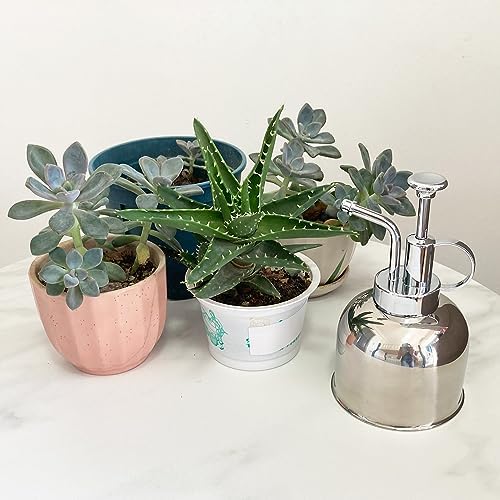 Stainless Steel Plant Sprayer, Small Watering Can for Indoor Potted Plants - Image 4