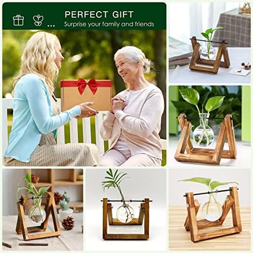 Kingbuy Plant Propagation Station Bulb Vase, 1 Bulb Vase - Image 2
