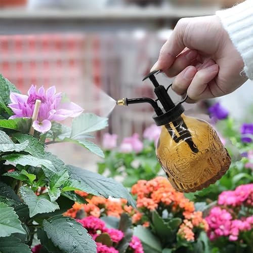 Glass Plant Mister Spray Bottle, 200ML Vintage Plant Spritzer, Succulent Watering Bottle Glass with Top Pump, Small Plants Sprayer Watering Can for Indoor Outdoor House(All Brown) - Image 2