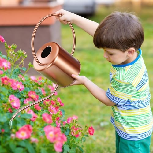 Plant Watering Can, 50 oz / 1500 ml Stainless Steel Metal - Modern Decorative with Long Spout for Indoor Potted Plants, Bonsai, Garden Flowers, Copper - Image 7