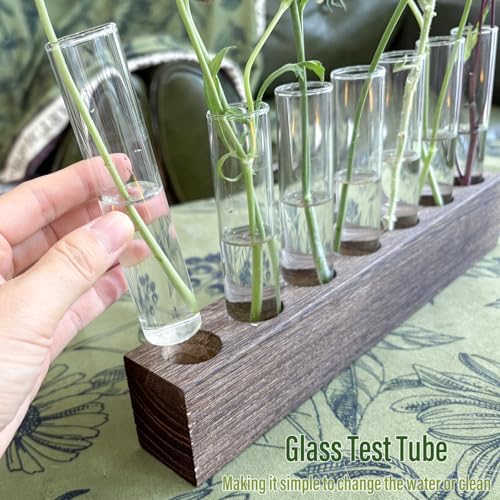 KAXYEW Desktop Glass Plant Propagation Station Test Tube Plant Terrarium in Wooden Stand for Hydroponic Plants Cutting Office Home Decoration - Image 6