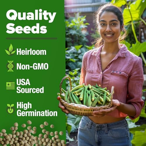 HOME GROWN Clemson Spineless Okra Seeds, 101+ Seeds, Abelmoschus esculentus - Image 3