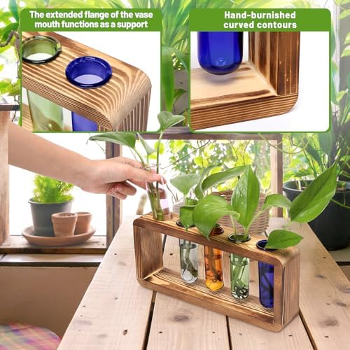 Glass Plant Propagation Station with 5 Test Tubes Colorful Planter Vase - Image 4