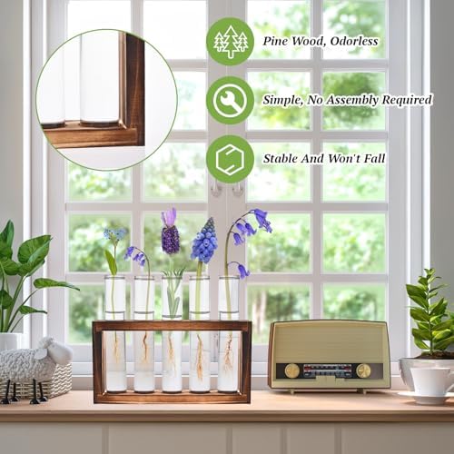 Tigvio 2pcs Desktop Glass Plant Propagation Station (10 Tubes) - Image 3