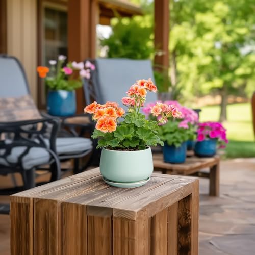 G EPGardening Ceramic Plants Pots - 4 inch Plant Pots Indoor Outdoor, Small Succulent Planter with Drainage Hole & Tray, Modern Flower Pot, Round Decorative Planters, Office Decor, Garden Gift, Green - Image 4