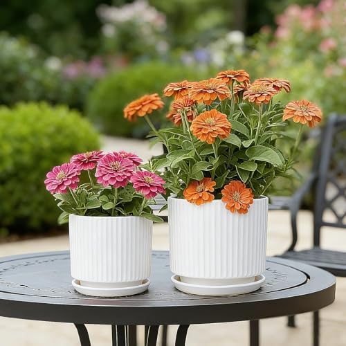 Ceramic-5.1-inch-Flower-Pots-with-Saucer, Small Planters for Indoor Plants with Drainage Hole, White Textured Vertical Stripe Plant Pots for Home Decor, Garden Pot For Succulent Cactus Mint Basil Herb - Image 5