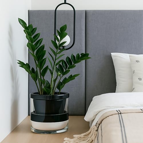 D'vine Dev Self-Watering Black Terracotta Planter Pot, 10 in, 37-X-D-3 - Image 4