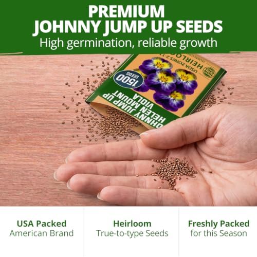 HOME GROWN Johnny Jump Up Helen Mount Viola Seeds, 1,500, Viola Tricolor - Image 7