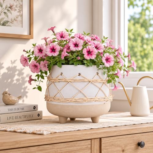 Ceramic Planter Pot for Indoor & Outdoor Plant, Flower - Image 6
