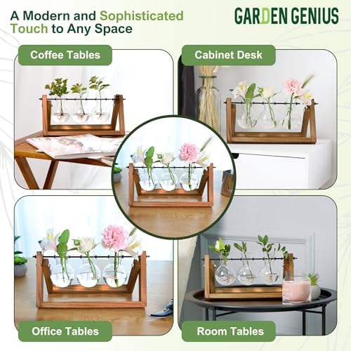 Glass Propagation Station with Wooden Stand – 3 Bulb Vase Plant Terrarium for Home & Office | Ideal Christmas, New Year & Birthday Gift for Plant Lovers, Moms | Hydroponic Desktop Planter Set - Image 3