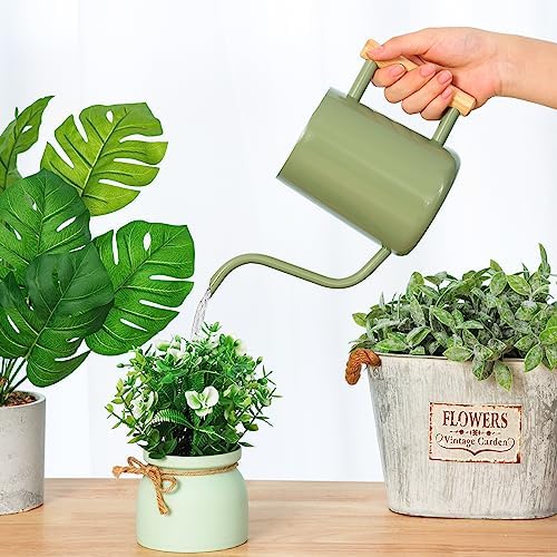 Metal Watering Can for Indoor Plants, 35oz Sage Green Cute Stainless Steel Pot with Long Spout for Indoor House Plants Bonsai Outdoor Garden Flower Decorative - Image 6