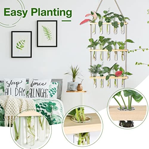 XXXFLOWER Wall Hanging Propagation Station with Wooden Stand 15 Tubes - Image 3