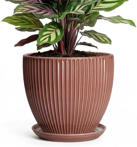 Ceramic Pots for Plants 6 Inch, Ceramic Plant Pots Indoor with Drainage Hole and Saucer, Modern Flower Pot, Round Decorative Planter, Living Room Home Decor, House Warming Gifts, Rust Red by Unknown