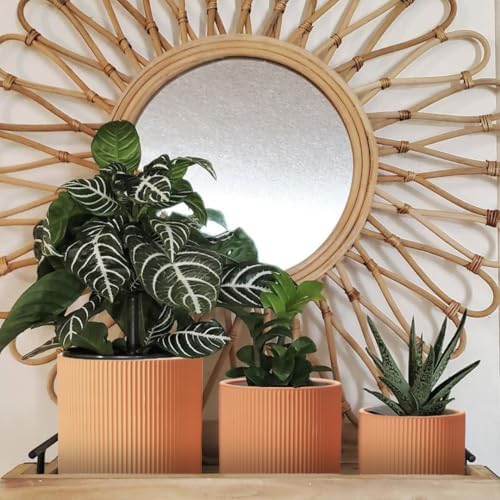 HERDUK Modern Terra Cotta Pots, 6 Inch 5.1 Inch 4 Inch Ribbed Textured Clay Planter Set with Drainage Holes & Saucers, Garden Pots for Indoor/Ourdoor Plants Succulent, Cactus & Herb - Image 3
