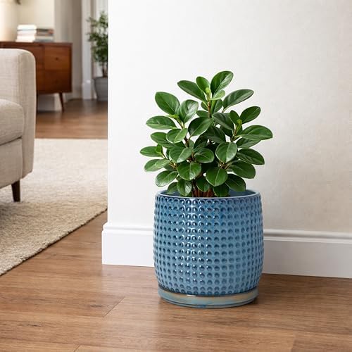 D'vine Dev Beaded Ceramic Pot with Saucer, 8 in, Ocean Teal, 27-C-Q-8 - Image 2