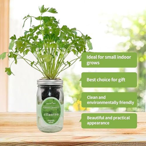 Hydroponic Herb Growing Kit, Self-Watering Mason Jar Window Herb Garden Starter Kit Indoor, Grow Your Own Herbs from Organic Seeds (Cilantro) - Image 5