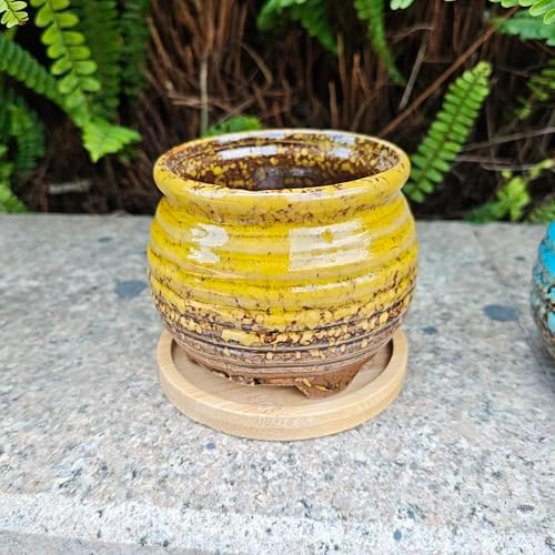 3.5 Inch Ceramic Succulent Planter Pot with Drainage Hole & Bamboo Tray - Mini Round Small Plant Pot for Indoor Desktop, Cactus Flower Container (Plant and Soil Not Included)，Yellow - Image 3