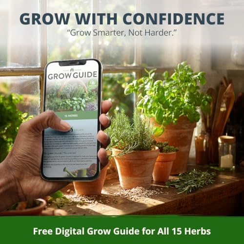 15 Culinary Herb Seeds - Heirloom & Non GMO - High Germination Rate - Seeds for Planting Indoor Hydroponic or Outdoor Herbs Garden | Gardening Gift Men Women Gardeners - Basil, Cilantro, Mint - Image 6