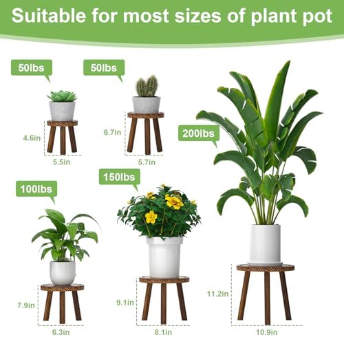 5-Pack Wood Plant Stands Indoor, Single Plant Stand for 6-12 Inch Pots, Mid-Century Modern Plant Stool, Tall Plant Stand for Large Plants for Living Room, Balcony, Office (Dark Brown) - Image 2