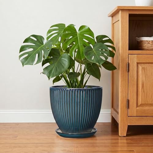Ceramic Planter, 10 Inch Plant Pot with Drainage Hole and Saucer, Round Planters for Indoor Plants, Decorative Plant Pots, Modern Planter, Living Room Decor, Gifts for Plant Lovers, Retro Blue - Image 6