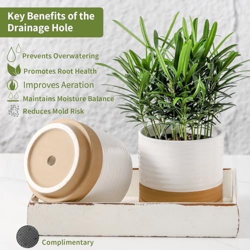 HASENSE Small Plant Pots, 4.6 Inch Ceramic Flower Pots with Two-Tone Glaze Design, Indoor Outdoor Planter with Drainage Hole and Saucer, Cute Tabletop Decor, 4 Pack, White-Brown - Image 5