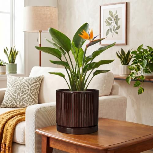 8 Inch Ceramic Flower Pots, Round Planter with Saucer, Brown - Image 6