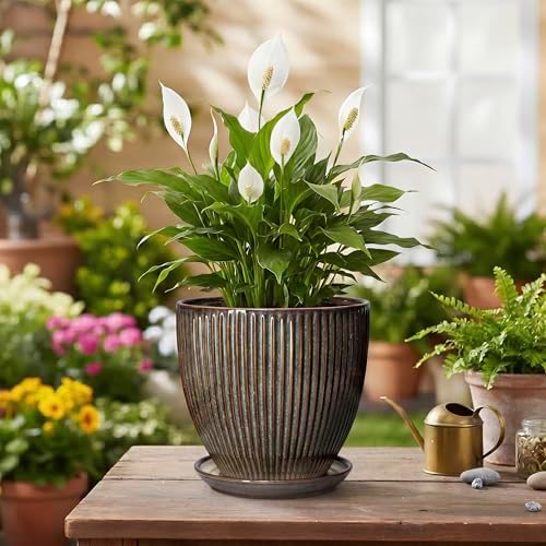 6 Inch Plant Pot, Ceramic Pots for Plants with Drainage Hole and Saucer, Decorative Planters for Indoor Plants, Small Flower Pots, Home Office Room Decor, Gifts for Plant Lovers, Retro Brown - Image 4
