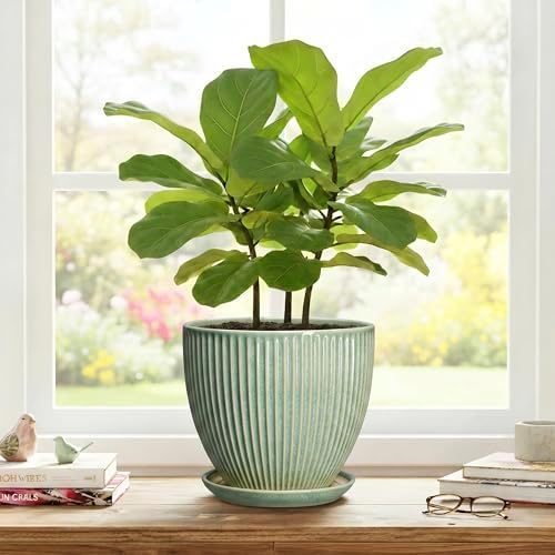8 Inch Planter, Ceramic Plant Pots with Drainage Hole and Saucer, Decorative Pots for Plants Indoor, Ceramic Flower Pots, Round Modern Planter, Living Room Decor, House Warming Gifts, Green - Image 7