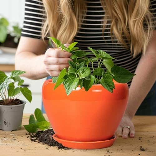 Ceramicfor Indoor Plant Pot, 8 Inch Ceramic Plant Pot, Orange - Image 5