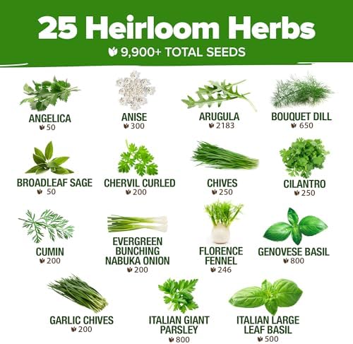 HOME GROWN 25 Herb Variety Pack 8,700+ Seeds Extra Large Culinary Kit - Image 3
